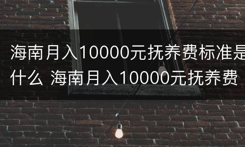 海南月入10000元抚养费标准是什么 海南月入10000元抚养费标准是什么样的