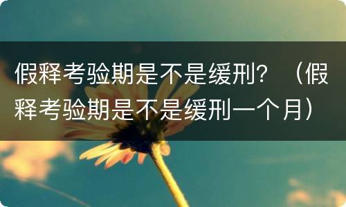 假释考验期是不是缓刑？（假释考验期是不是缓刑一个月）