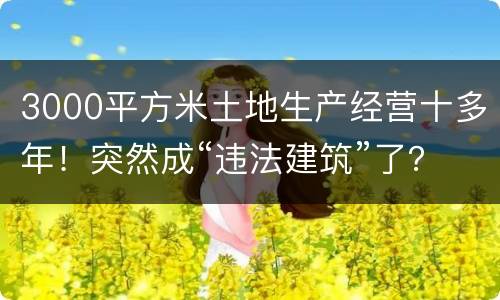 3000平方米土地生产经营十多年！突然成“违法建筑”了？