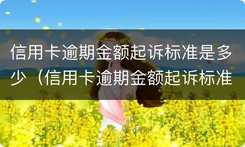 信用卡逾期金额起诉标准是多少（信用卡逾期金额起诉标准是多少钱）