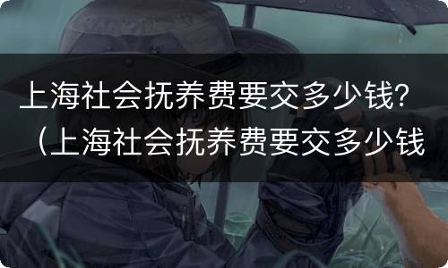 上海社会抚养费要交多少钱？（上海社会抚养费要交多少钱一个月）