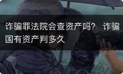 诈骗罪法院会查资产吗？ 诈骗国有资产判多久