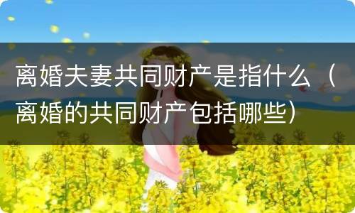离婚夫妻共同财产是指什么（离婚的共同财产包括哪些）