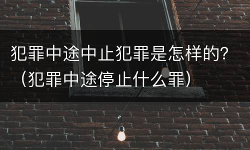 犯罪中途中止犯罪是怎样的？（犯罪中途停止什么罪）