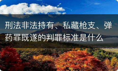 刑法非法持有、私藏枪支、弹药罪既遂的判罪标准是什么