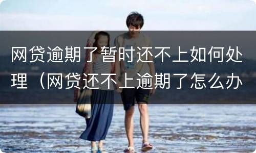 网贷逾期了暂时还不上如何处理（网贷还不上逾期了怎么办）
