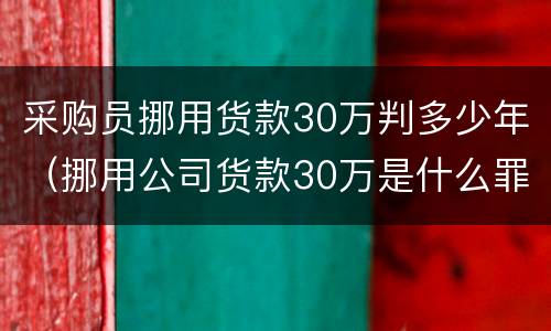 采购员挪用货款30万判多少年（挪用公司货款30万是什么罪）