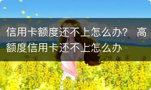 信用卡额度还不上怎么办？ 高额度信用卡还不上怎么办