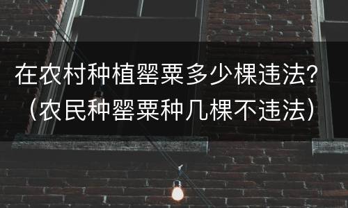 在农村种植罂粟多少棵违法？（农民种罂粟种几棵不违法）