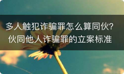 多人触犯诈骗罪怎么算同伙？ 伙同他人诈骗罪的立案标准