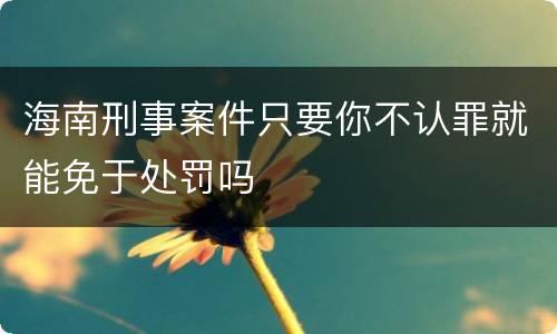 海南刑事案件只要你不认罪就能免于处罚吗