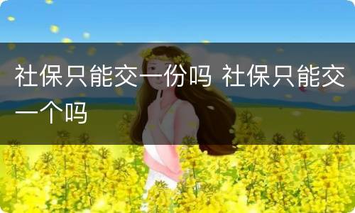 社保只能交一份吗 社保只能交一个吗
