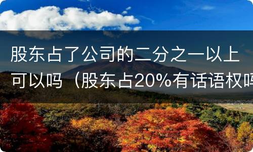 股东占了公司的二分之一以上可以吗（股东占20%有话语权吗）