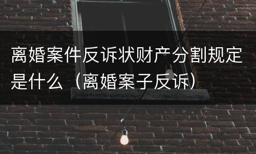离婚案件反诉状财产分割规定是什么（离婚案子反诉）