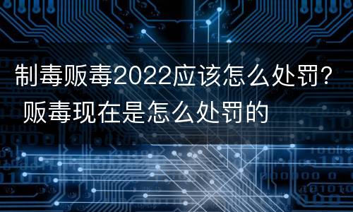 制毒贩毒2022应该怎么处罚？ 贩毒现在是怎么处罚的