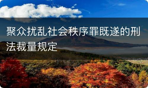 聚众扰乱社会秩序罪既遂的刑法裁量规定