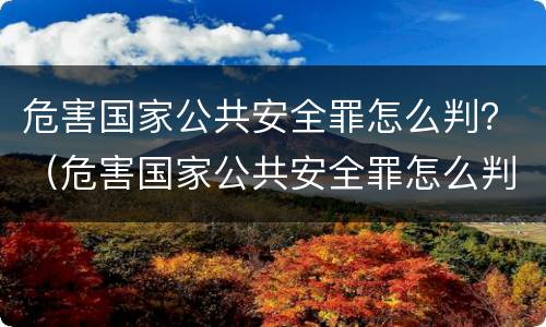 危害国家公共安全罪怎么判？（危害国家公共安全罪怎么判的）