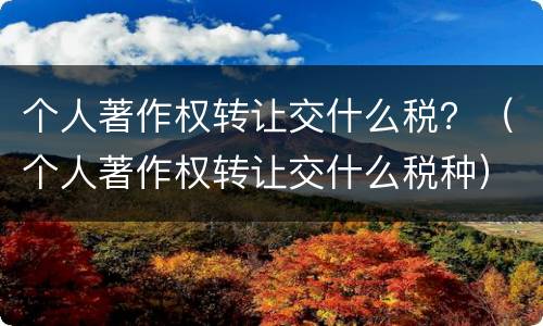 个人著作权转让交什么税？（个人著作权转让交什么税种）