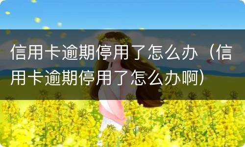 信用卡逾期停用了怎么办（信用卡逾期停用了怎么办啊）