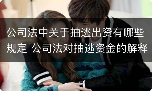 公司法中关于抽逃出资有哪些规定 公司法对抽逃资金的解释