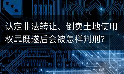 认定非法转让、倒卖土地使用权罪既遂后会被怎样判刑？
