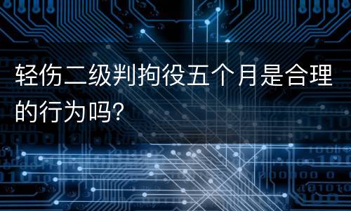 轻伤二级判拘役五个月是合理的行为吗？