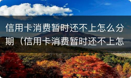 信用卡消费暂时还不上怎么分期（信用卡消费暂时还不上怎么分期还款）