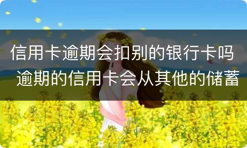 信用卡逾期会扣别的银行卡吗 逾期的信用卡会从其他的储蓄卡里扣吗