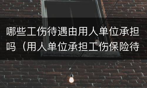 哪些工伤待遇由用人单位承担吗（用人单位承担工伤保险待遇）