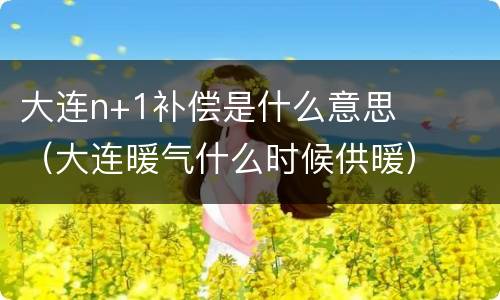 大连n+1补偿是什么意思（大连暖气什么时候供暖）