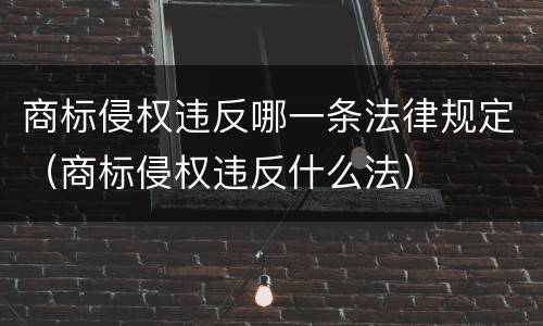 商标侵权违反哪一条法律规定（商标侵权违反什么法）