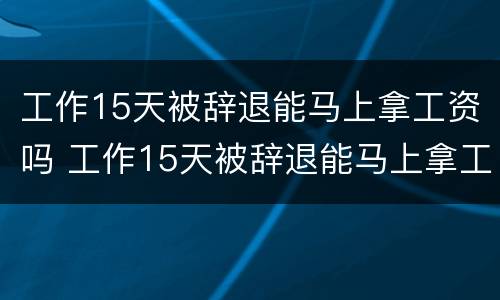 工作15天被辞退能马上拿工资吗 工作15天被辞退能马上拿工资吗