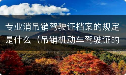专业消吊销驾驶证档案的规定是什么（吊销机动车驾驶证的,机动车驾驶证档案）