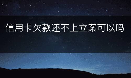 信用卡欠款还不上立案可以吗