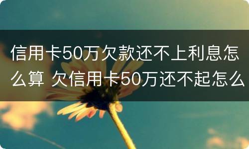 信用卡50万欠款还不上利息怎么算 欠信用卡50万还不起怎么办