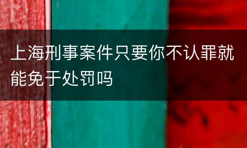 上海刑事案件只要你不认罪就能免于处罚吗