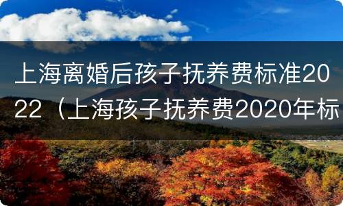 上海离婚后孩子抚养费标准2022（上海孩子抚养费2020年标准）
