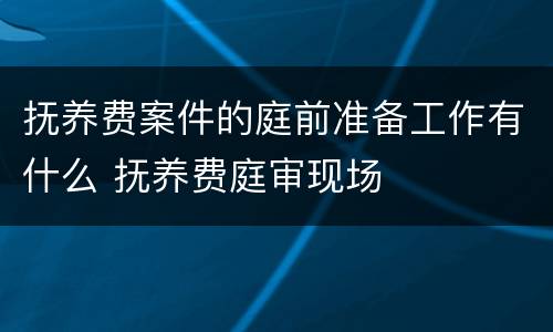抚养费案件的庭前准备工作有什么 抚养费庭审现场