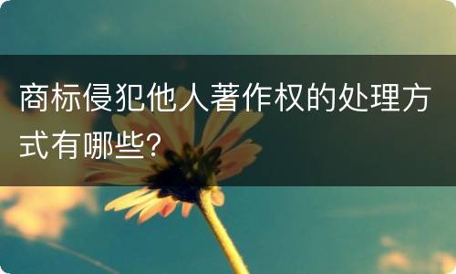 商标侵犯他人著作权的处理方式有哪些？
