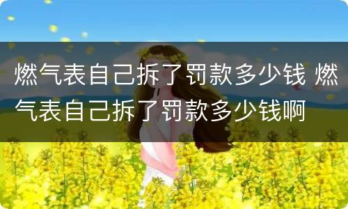 燃气表自己拆了罚款多少钱 燃气表自己拆了罚款多少钱啊