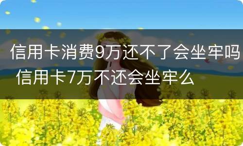 信用卡消费9万还不了会坐牢吗 信用卡7万不还会坐牢么
