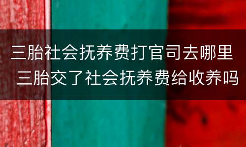 三胎社会抚养费打官司去哪里 三胎交了社会抚养费给收养吗