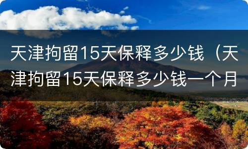 天津拘留15天保释多少钱（天津拘留15天保释多少钱一个月）