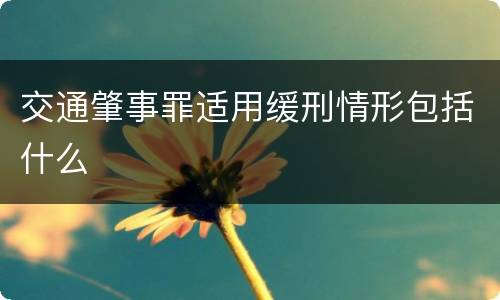 交通肇事罪适用缓刑情形包括什么
