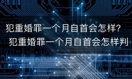 犯重婚罪一个月自首会怎样？ 犯重婚罪一个月自首会怎样判