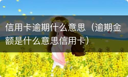 信用卡逾期什么意思（逾期金额是什么意思信用卡）