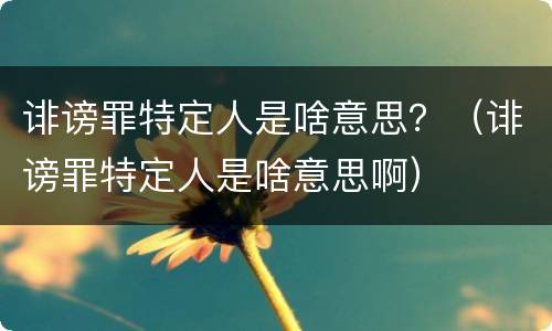 诽谤罪特定人是啥意思？（诽谤罪特定人是啥意思啊）