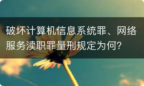 破坏计算机信息系统罪、网络服务渎职罪量刑规定为何？