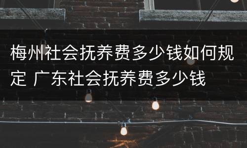 梅州社会抚养费多少钱如何规定 广东社会抚养费多少钱