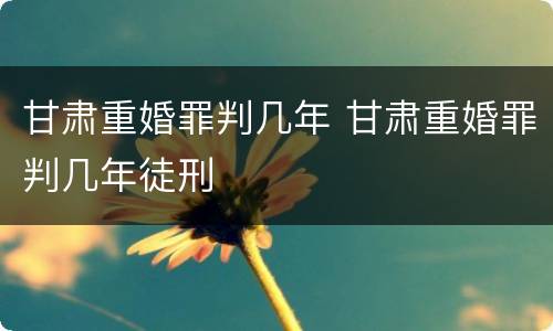 甘肃重婚罪判几年 甘肃重婚罪判几年徒刑